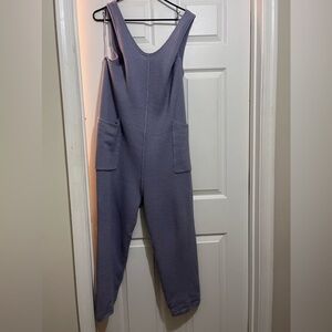 Women's Grey/lavender Jumpsuit
